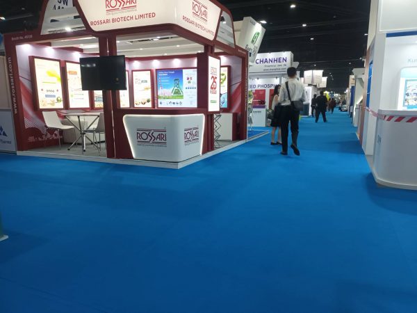 166 - Sky Blue - Image 4