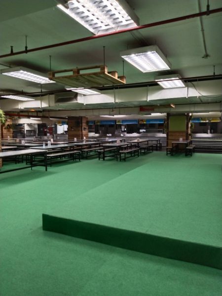 712 - Dark Green - Image 4