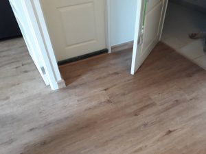 DSPC-07 Pradu Wood - Image 3