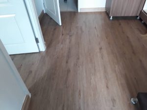 DSPC-07 Pradu Wood - Image 5