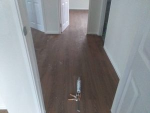 DVW6065 - CHERRY BROWN (  NEW COLOR ) - Image 3