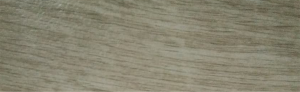 DPW01 Birch