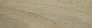 DPW05 Maple