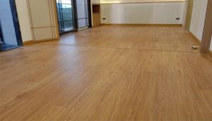 DVC05 - Gunstock - Image 3